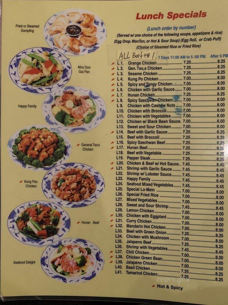 Halal China King - Sugar Land, TX