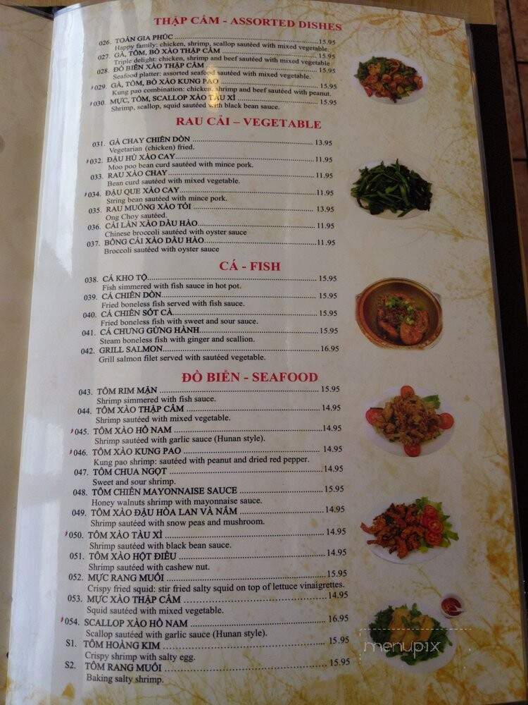 A Dong Chinese and Vietnamese Restaurant - Selma, TX